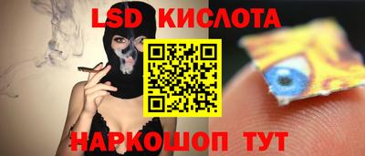 гашик Бузулук