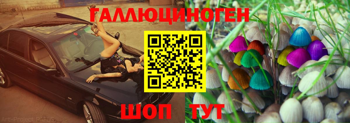 Псилоцибиновые грибы Psilocybine cubensis  Вход с VPN  наркота  Сибай 